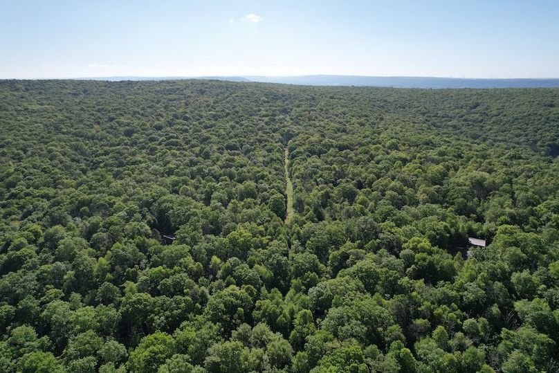 dji_fly_20260602_085134_615_1780663574263_photo