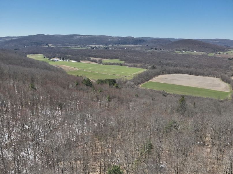 5 DJI_20250417095737_0001_V