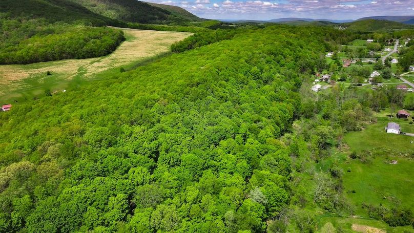 DJI_20250508022435_0104_D