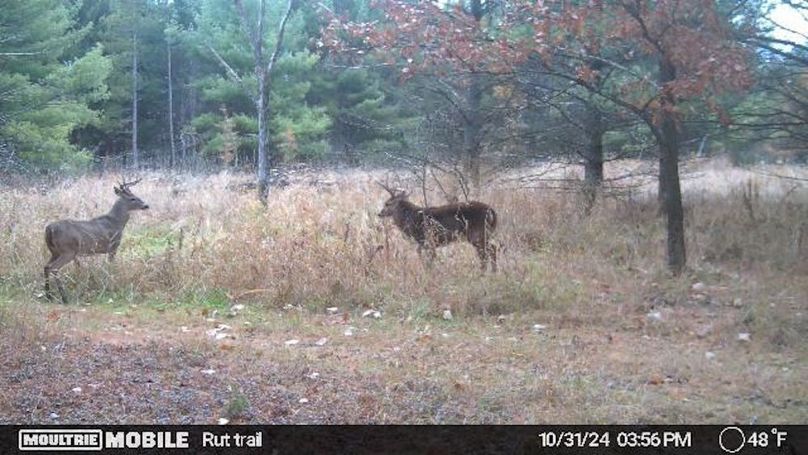 Temp_731870-20241031213704-20241031155610_005007