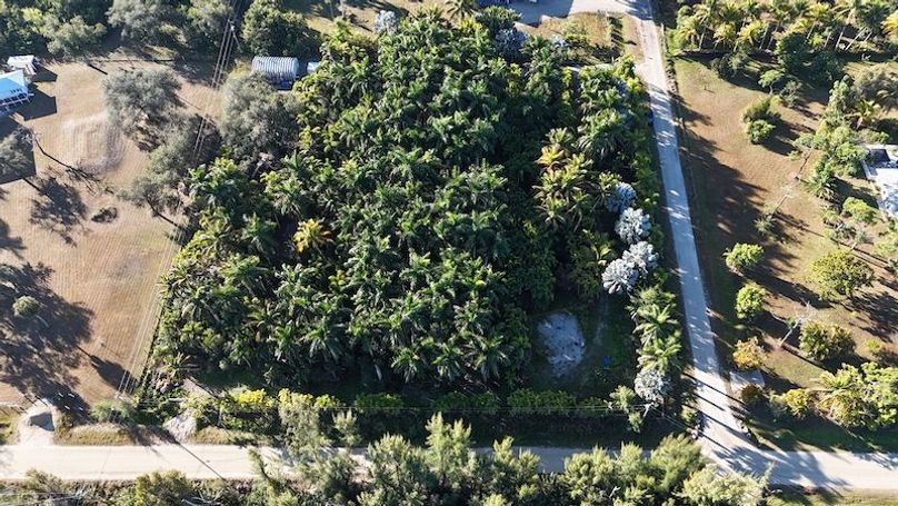 DJI_20260206090100_0244_D