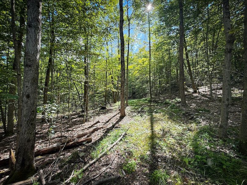 Tompkins_103.12_SusquehannaLandCo_Photos_10