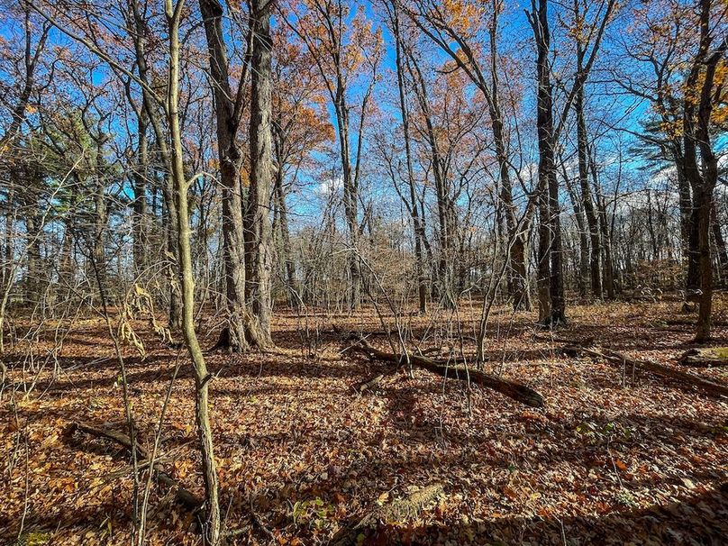 Portage 150.81 JMJK Prop-56