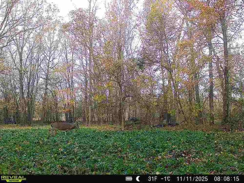 860516068101389-100-2-11112025080814-V-W1001992