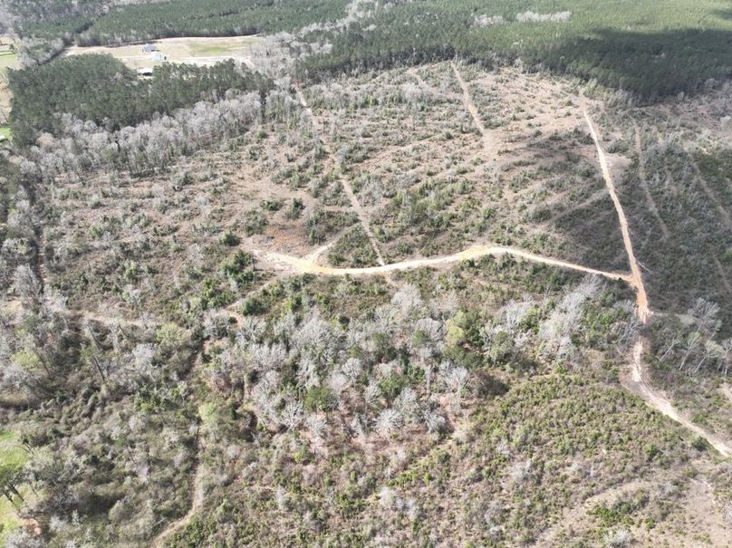 dji_fly_20260303_140048_294_1772637951592_photo