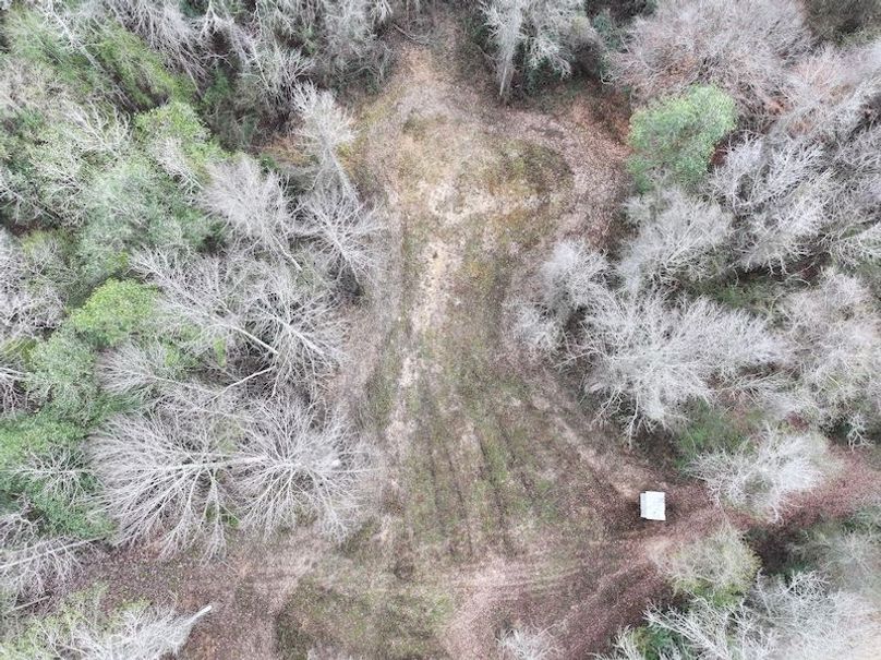 dji_fly_20260122_123628_0880_1769444803431_photo