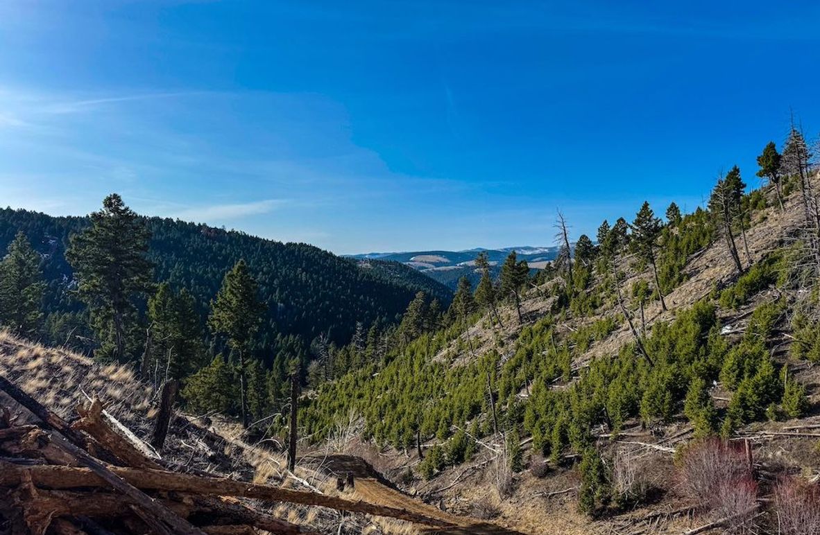 1. 20250410-IMG_3399 2