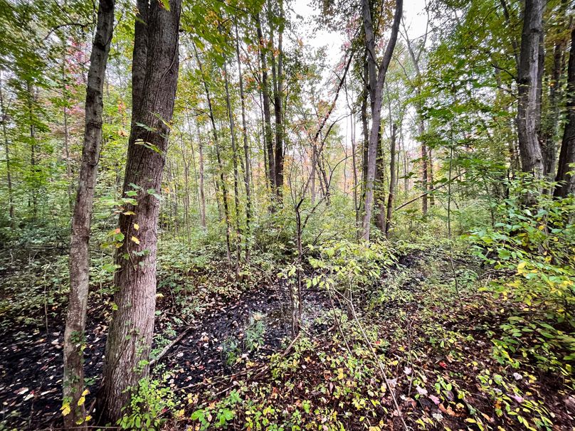 Ontario_16.2_Eddington Photo 24