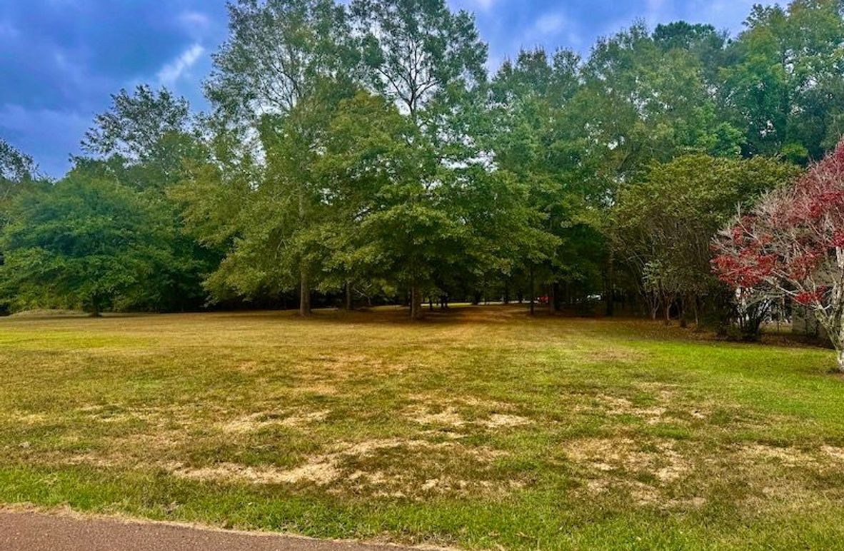 1A4956F0-A372-47BE-AFBC-AC44447B9934_1_201_a