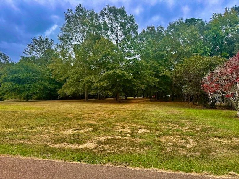 1A4956F0-A372-47BE-AFBC-AC44447B9934_1_201_a