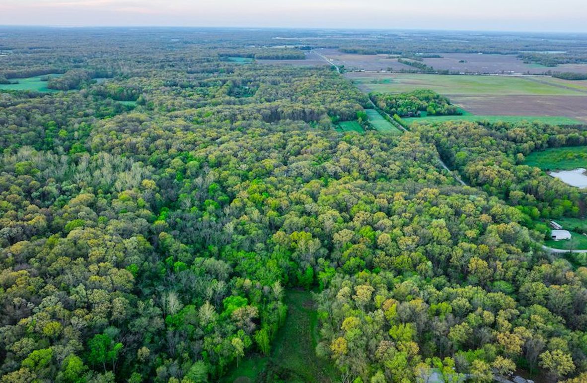 DJI_20250423055047_0020_D