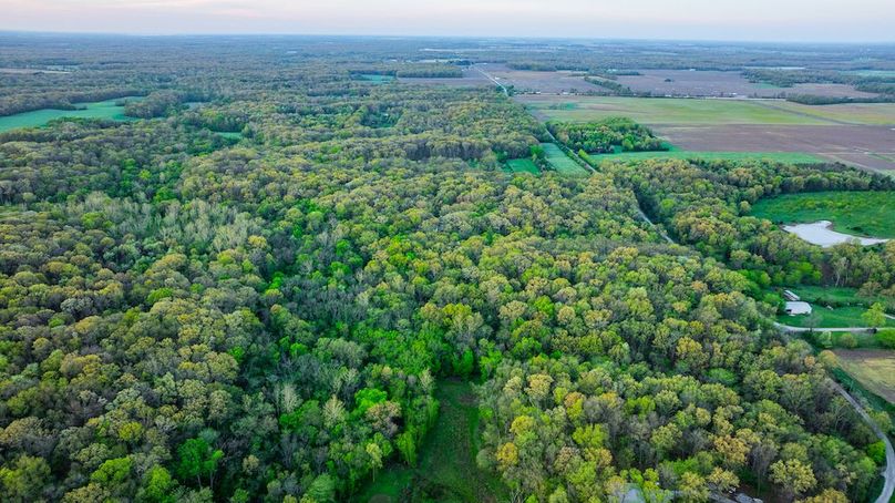 DJI_20250423055047_0020_D