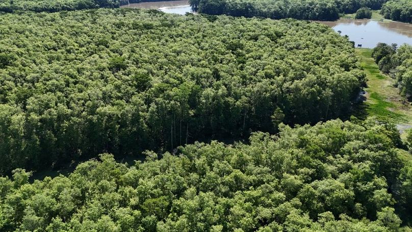 dji_fly_20260513_230836_0197_1778687808101_photo