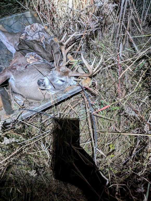 PXL_20231113_001254832