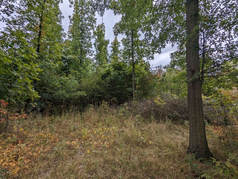 PXL_20230925_224447112