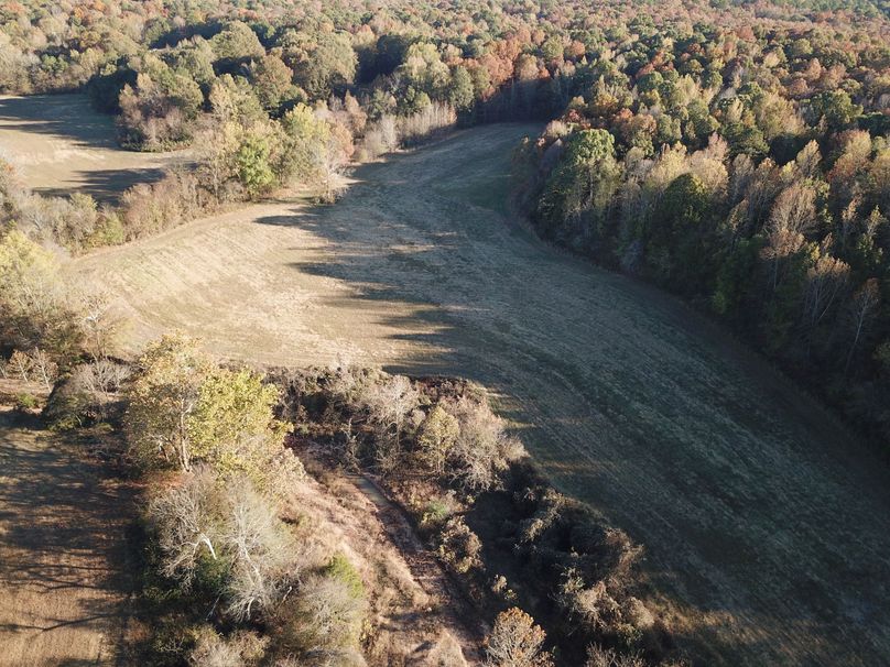 DJI_0077