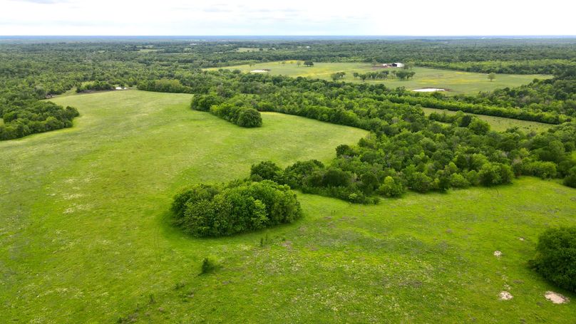 dji_fly_20230428_161852_871_1682716740576_photo