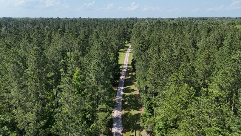 dji_fly_20250526_044618_0020_1748267954178_photo