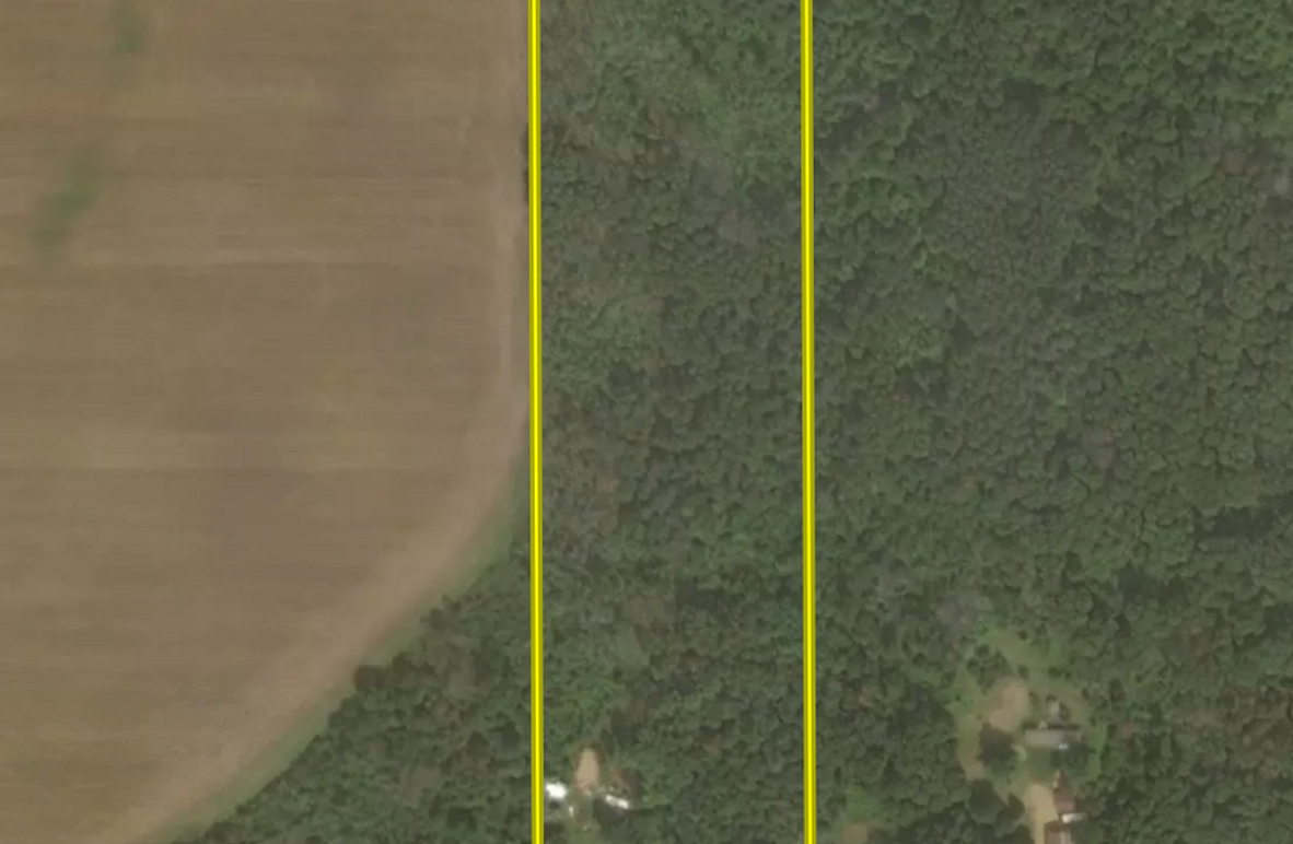 Screenshot 2025-04-17 at 12.36.03 PM