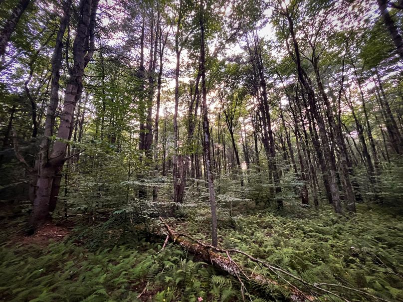 Oswego_30_RouselandInvestments_LLC_Photos_20