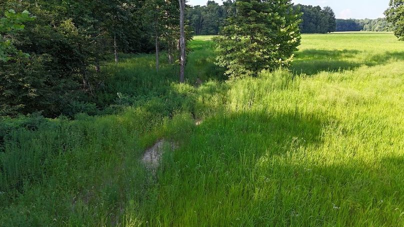 DJI_20250808180137_0770_D