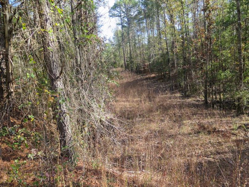 Lauderdale Co - 74 - Gillentine-23