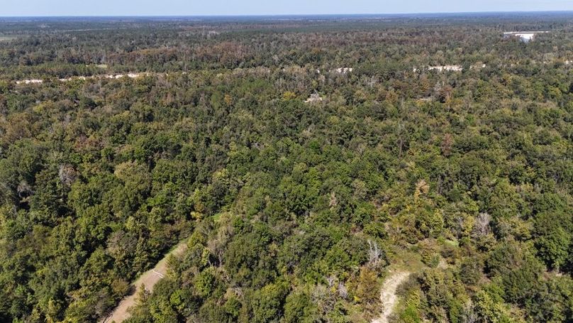 dji_fly_20251015_010930_0065_1760476853734_photo