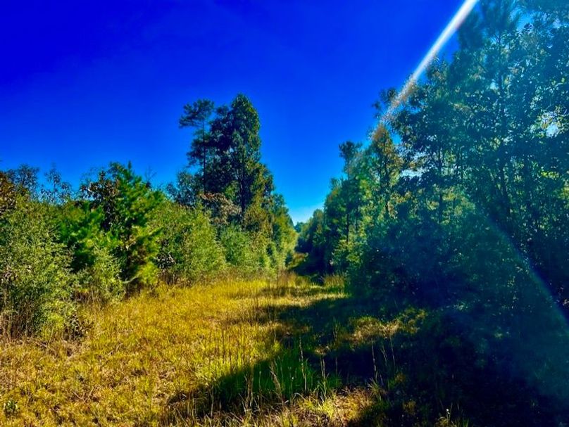 3F35E622-896B-4D39-8533-9105F6079FB8_1_105_c