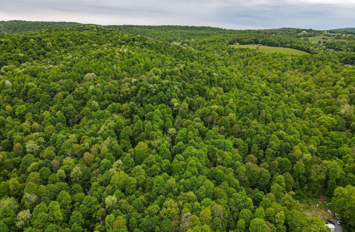 dji_fly_20240511_115306_90_1715442801728_photo