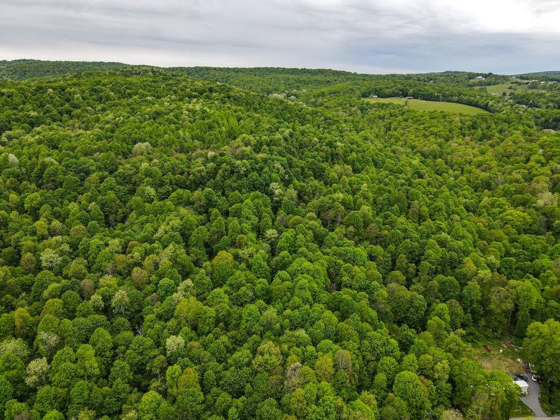 dji_fly_20240511_115306_90_1715442801728_photo