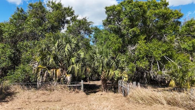 DJI_20260221142406_0317_D