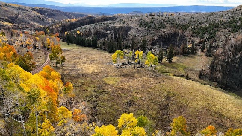 DJI_20250927085458_0123_D