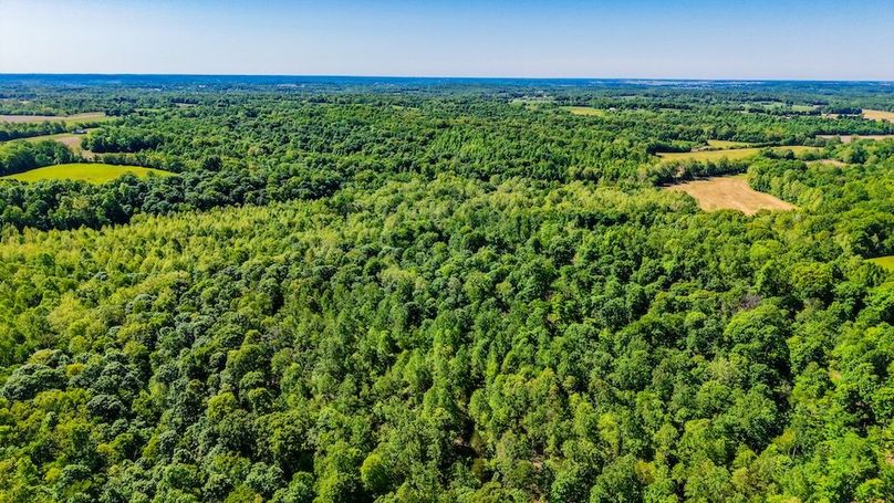 dji_fly_20260511_104756_0067_1778511521032_photo