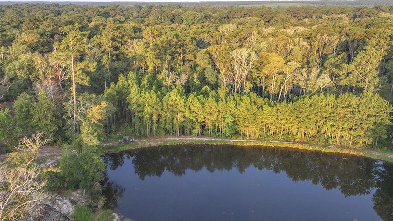 DJI_20250918073623_0084_D