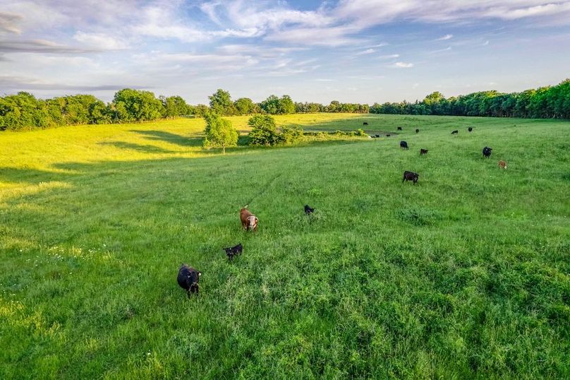Fannin County- 134.4 acres-10
