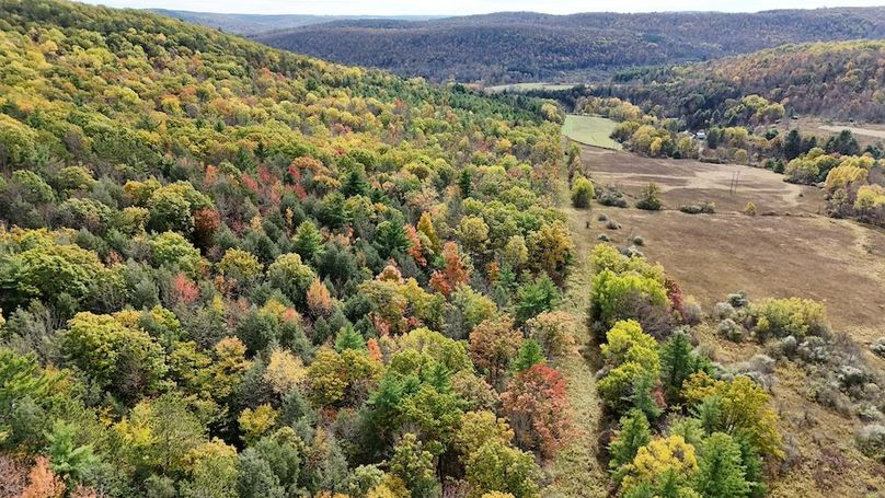 DJI_20251017132057_0750_D