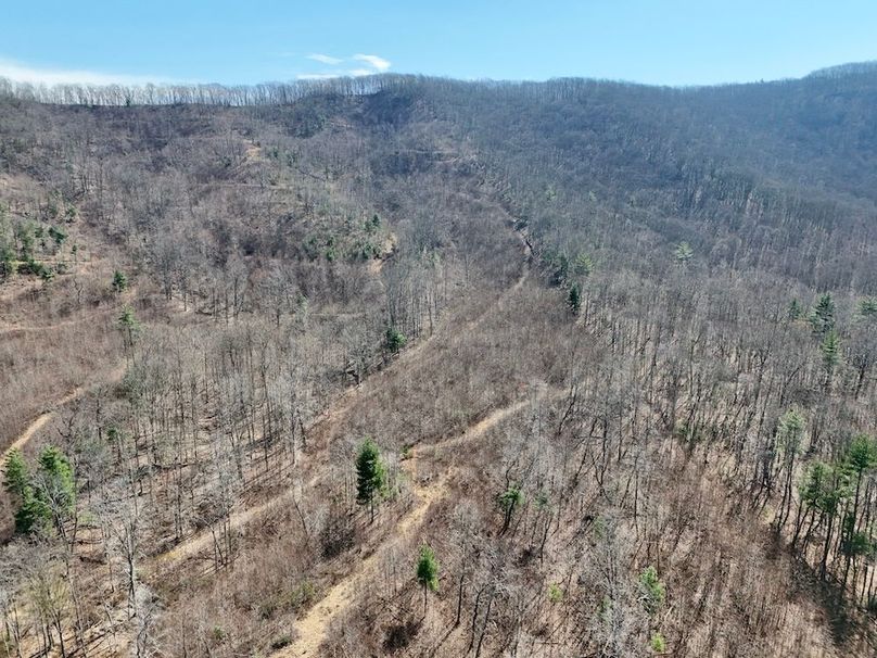 Morgan Co TN 310.833 Schneller_92