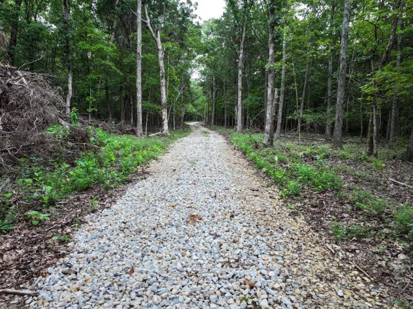 DJI_20230815080952_0009_D