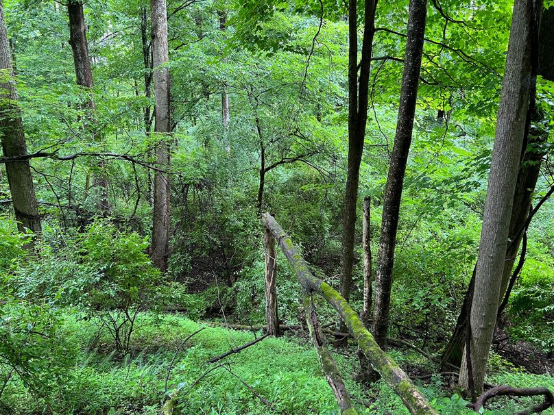 Wirt, WV 150.75 AC Tinnell-02