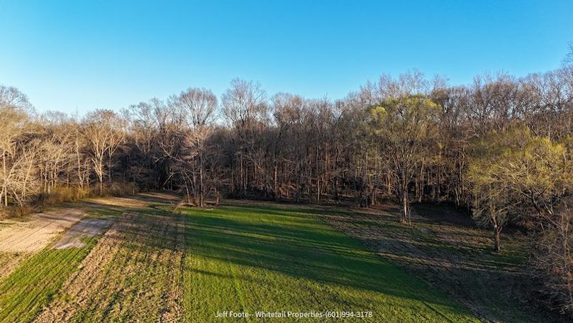 Hinds Co - 53.51 - MT Beasley-26