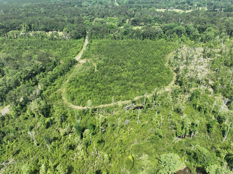 dji_fly_20230516_110154_123_1684333397556_photo