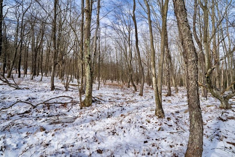 Somerset, 23.59, Keller-35