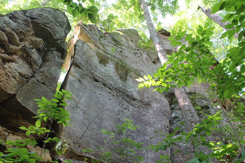 002 huge rock face knob in the western part of the property