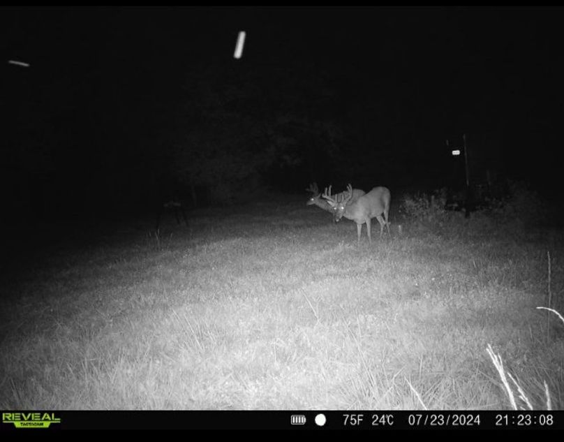 Trail Cam 9