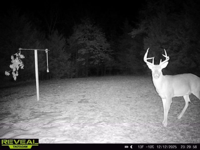 865814042182525-100-3-12122025232958-W1002347