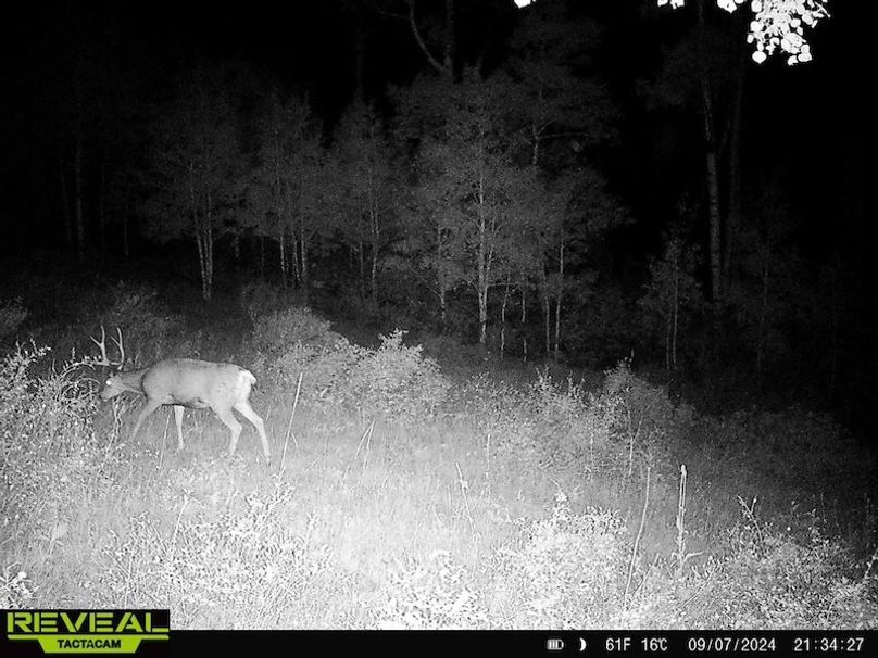 864049052055672-60-4-09072024213426-HD-W1000487 (1)