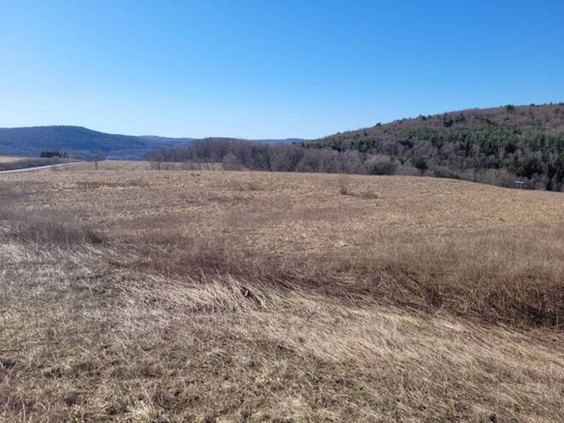 11067406-7N8sX8TVGfTlqzKS