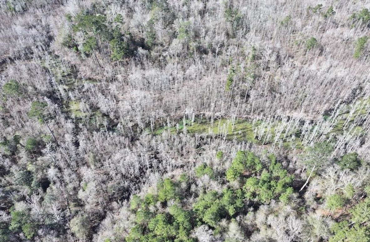 dji_fly_20260112_110124_0807_1768323793938_photo