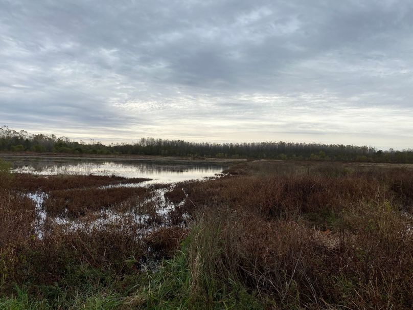 pics from late 2021 and early 2022. New plots being planted in Aug 2023 for new pics (23)