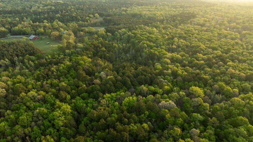 61 Marion TX 143 and 117 Featured_ProPhoto-118